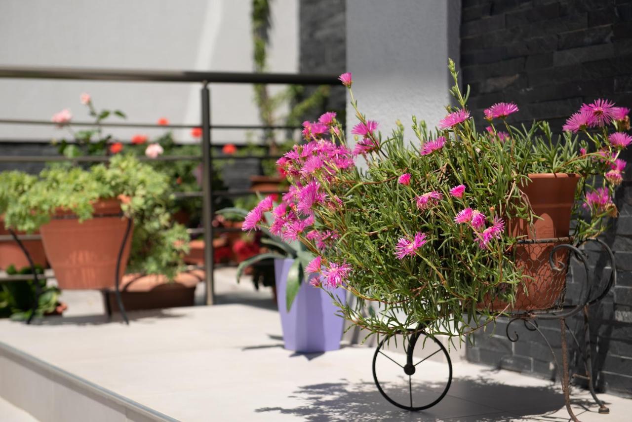 Almare Seaside Studios & Suites - Sarti Sithonia Ngoại thất bức ảnh